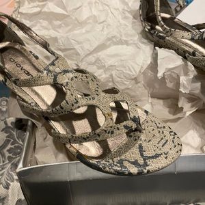 Giovonni women snake skin sandals
